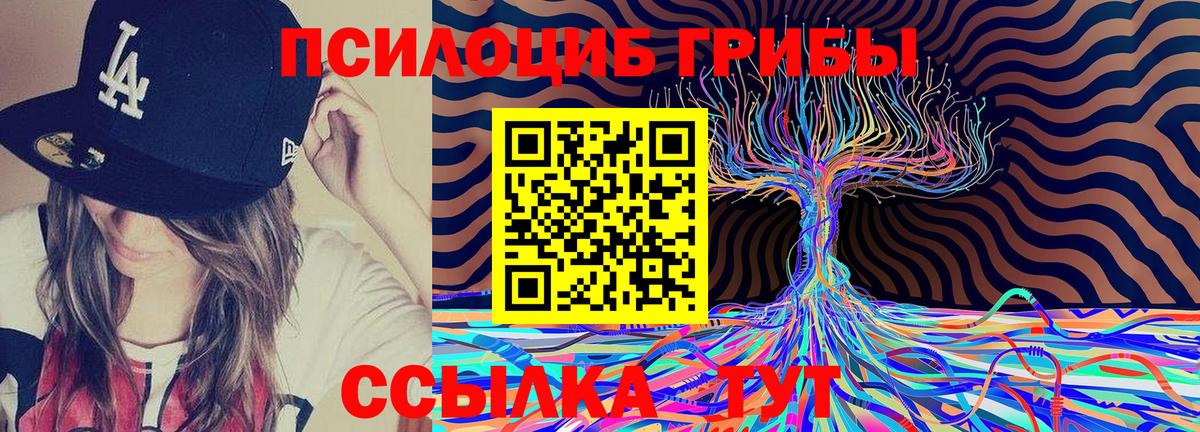 Бор  Галлюциногенные грибы мухоморы  Вход с VPN 