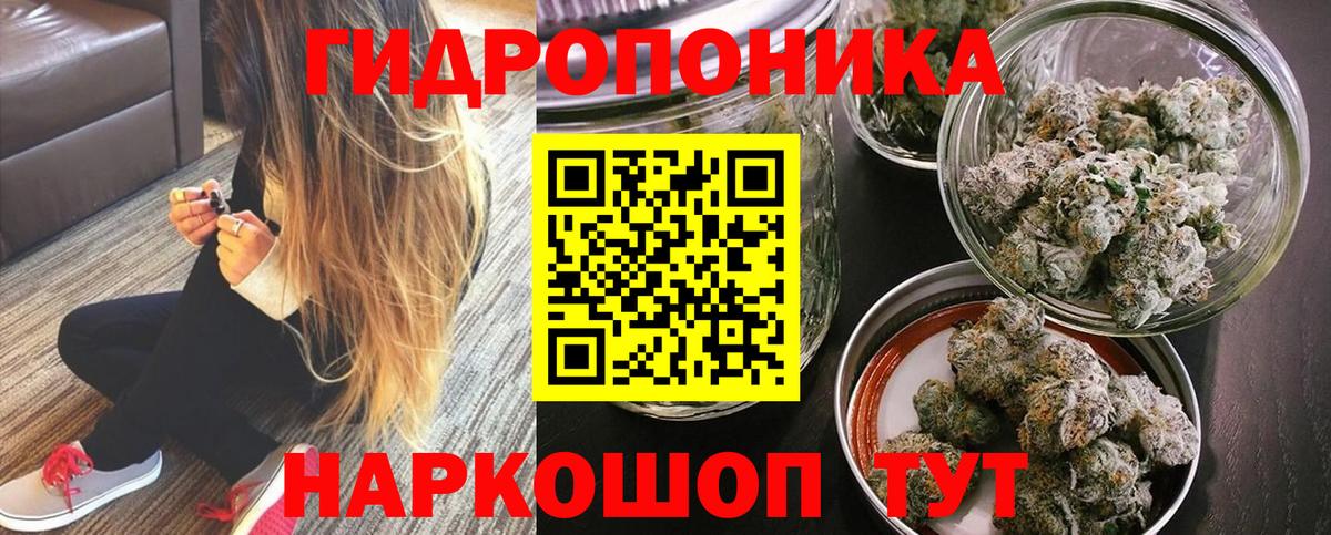 Конопля семена Бор